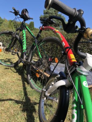 Trail-Gator Tandem-Stange