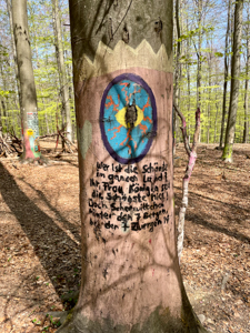 Bemalte Bäume nahe der Gundelhardt in Kelkheim