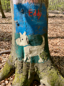 Waldspiel im Zauberwald Kelkheim