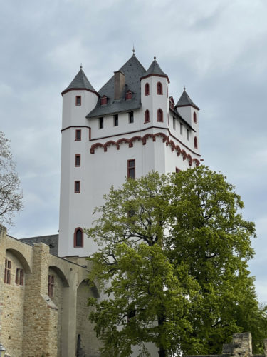 Kurfürstliche Burg Eltville
