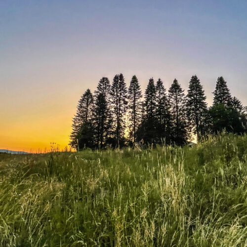 Sonnenuntergang am The Eppstein Project