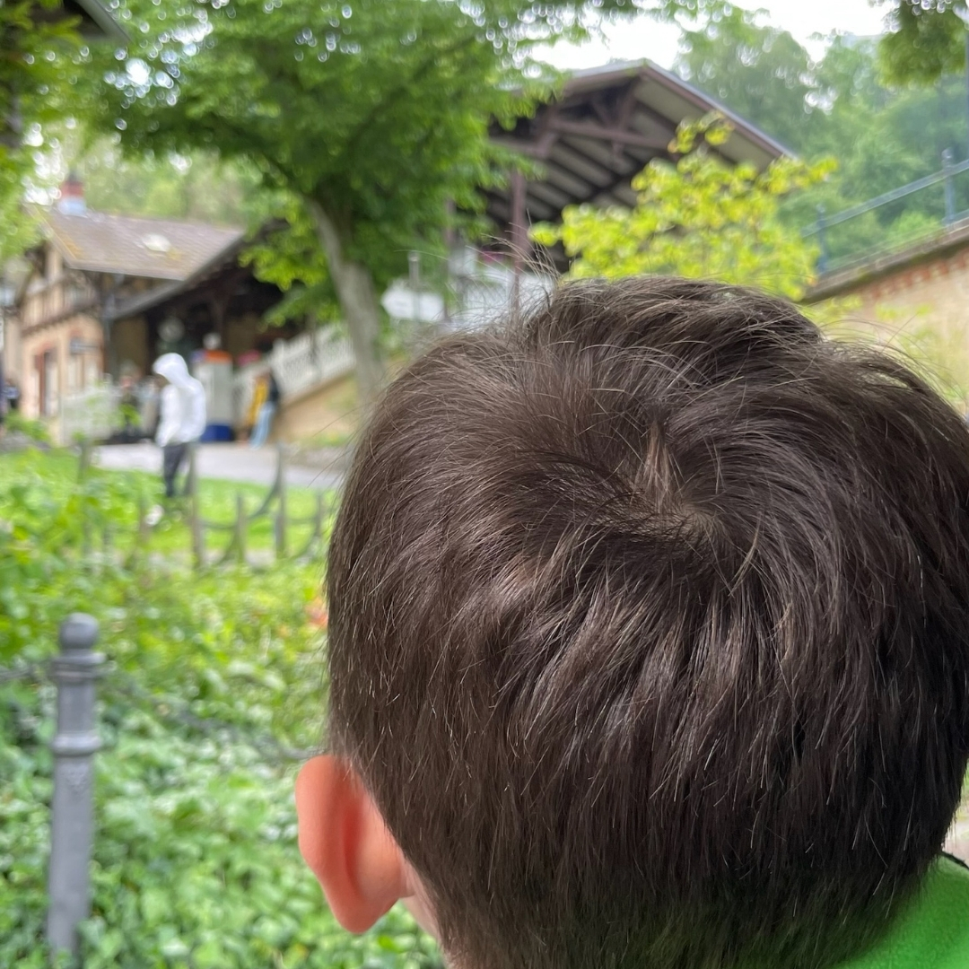 Blick aus der THermine