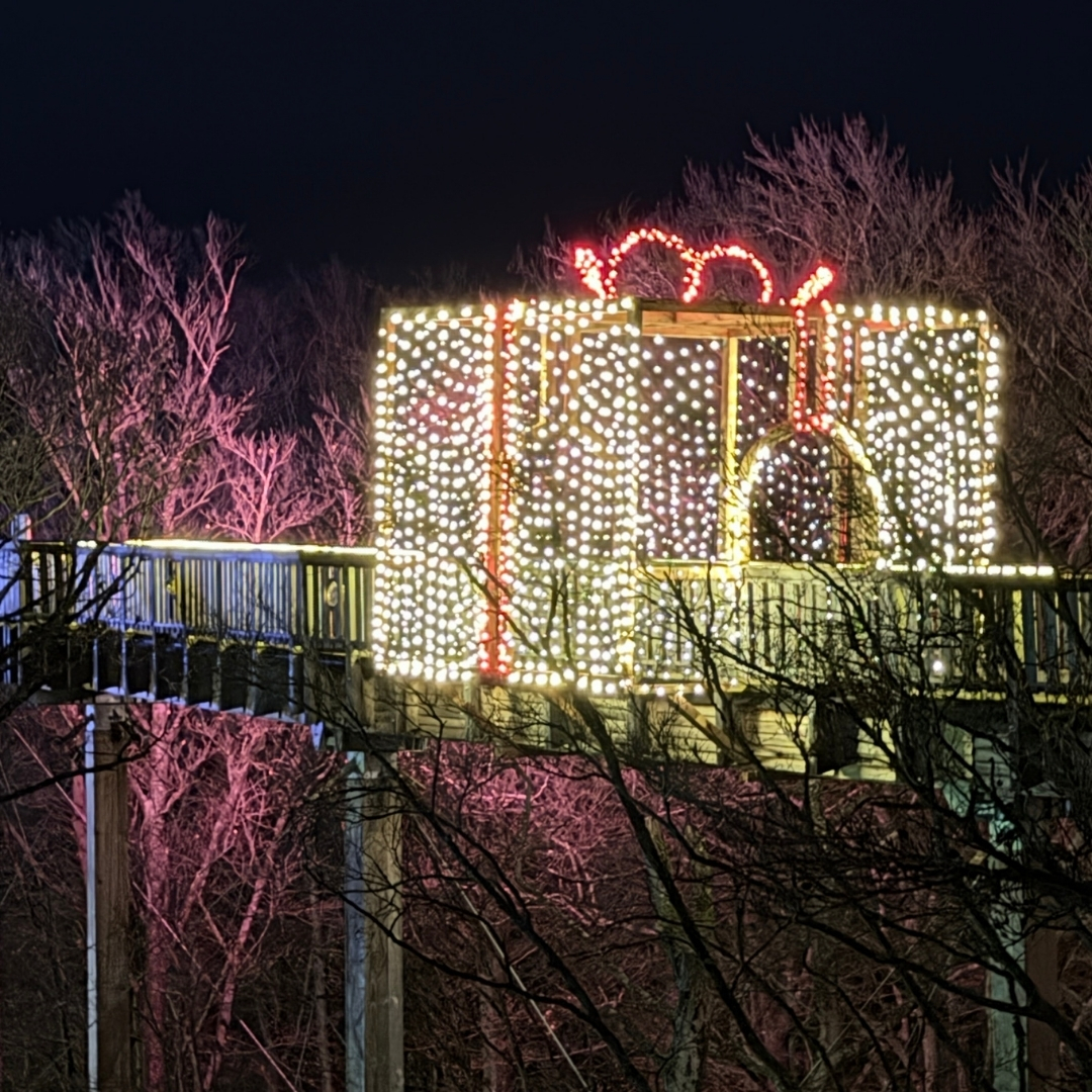 Magische Winterlichter Baumwipfelweg Bad Camberg
