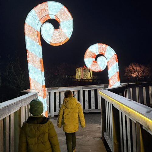 Beleuchtung bei den Winterlichtern Bad Camberg