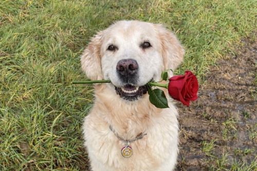 Valentinstag Date Ideen im Rhein Main Gebiet